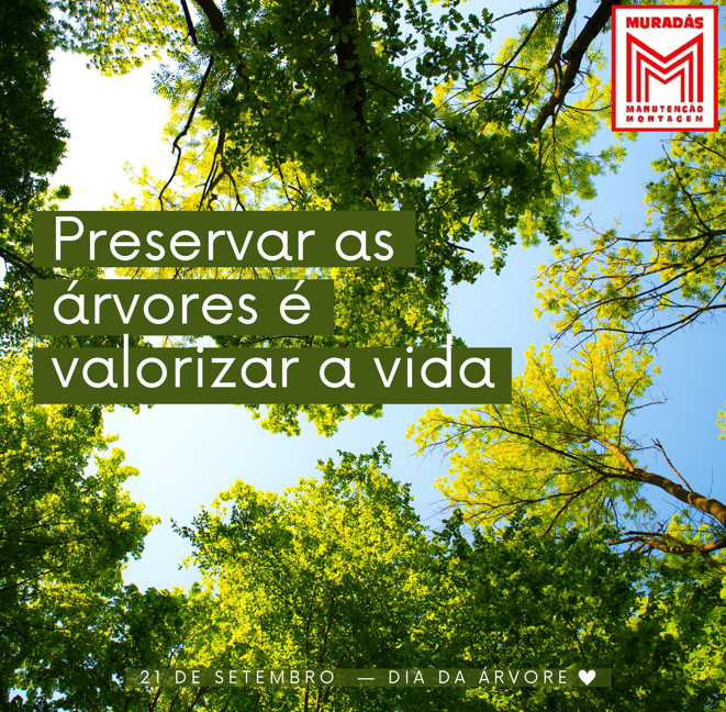 Dia da Árvore