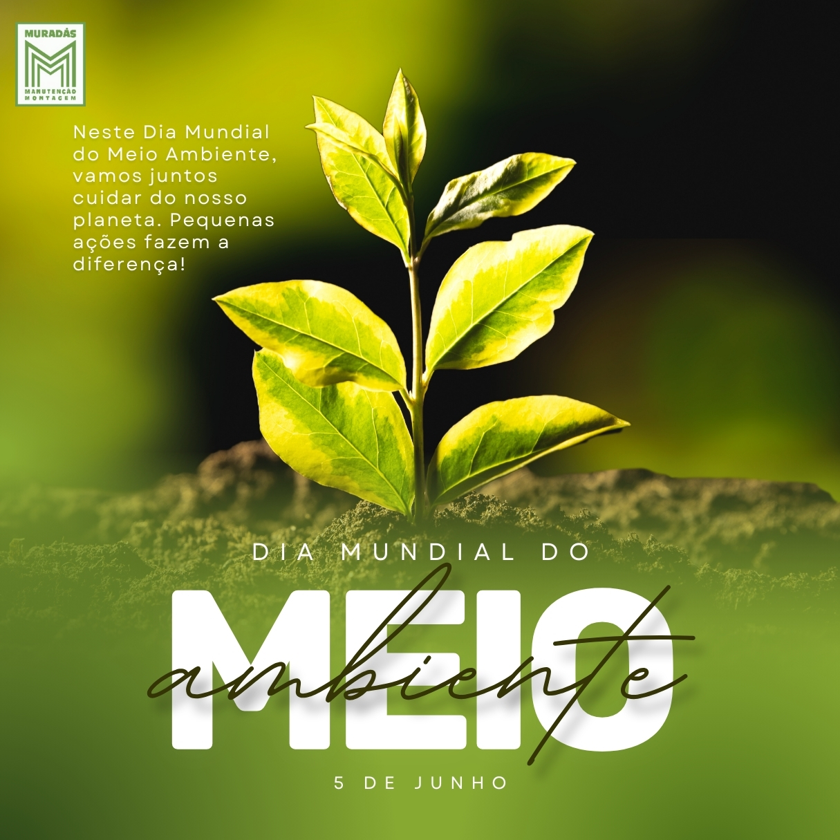 Dia do Meio Ambiente