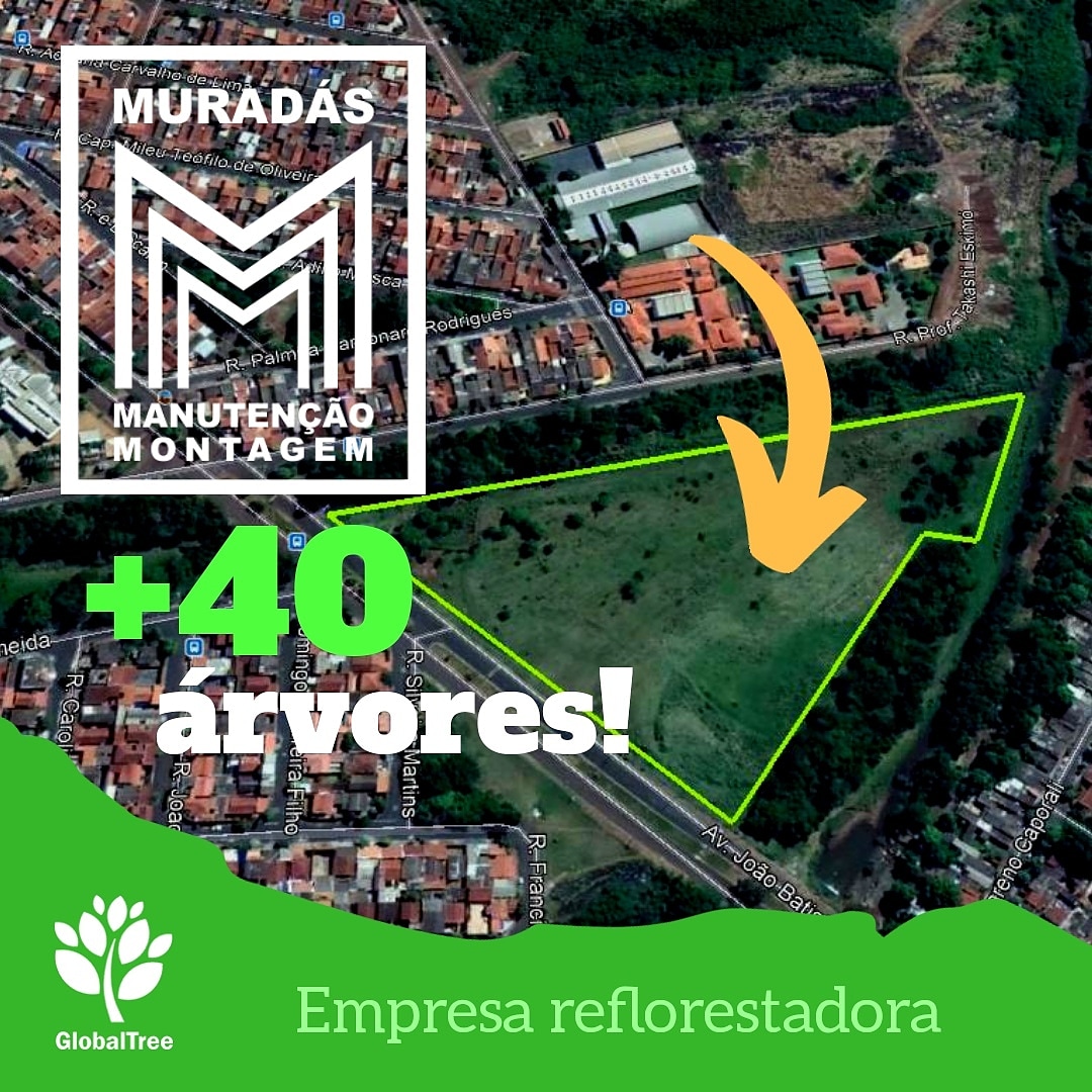 Plantio anual Muradás