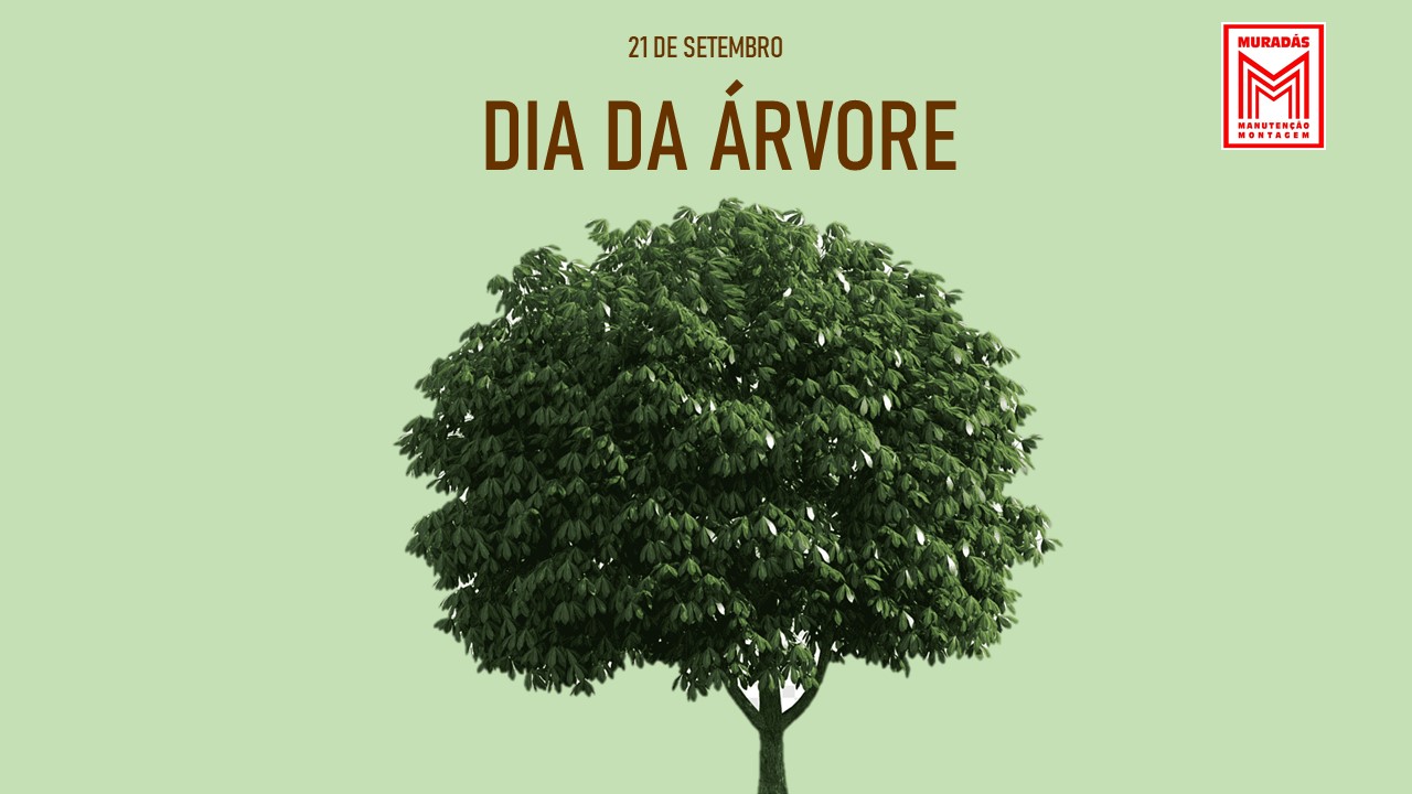 Dia da Árvore